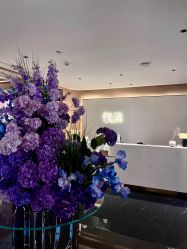 -蘭FACE·海菲秀飞顿Med SPA
