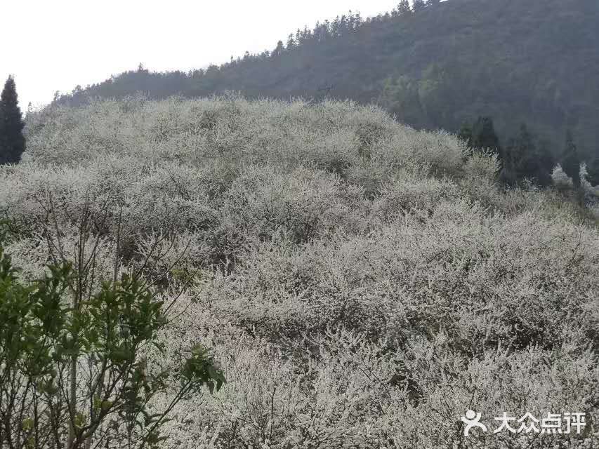 这里最好自驾，坐车不方便，属于郊区旅游景点