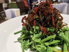 昭通椒丝油鸡枞麦瓜尖-泓0871臻选云南菜·味庄