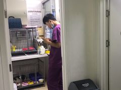 -达爱动物医院·犬猫分区·CT·复杂眼科(远洋山水分院)