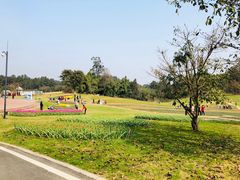景点-保利石象湖景区