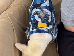 -怪兽屋·羊驼·猫咖·狗咖(俊华广场店)