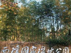 -西溪国家湿地公园