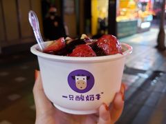 -一只酸奶牛(八一路店)