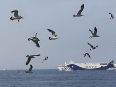 -大连海昌东方水城