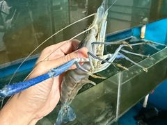 -渔娘蟹庄(阳澄湖莲花岛店)