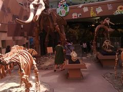 -陕西自然博物馆