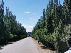 -乌素图国家森林公园