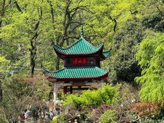 -岳麓山风景名胜区