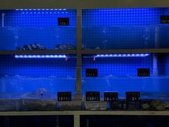 -威海渔村(静安旗舰店)