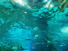 -福州罗源湾海洋世界旅游区