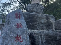 -大岭沟猕猴桃谷风景区