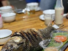 -杨合林啊兰烤鱼