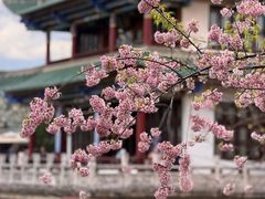 -翠府(翠湖北路店)