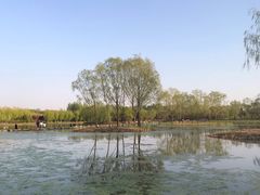 -大兴滨河森林公园