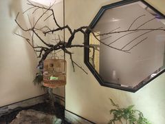 -小厨娘淮扬菜(诚信大道店)