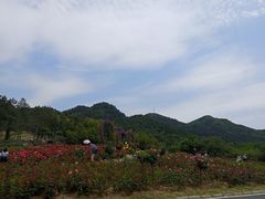 -黄陂区野村谷景区
