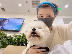 -美联众合动物医院·24h转诊中心