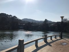 -白马涧龙池景区