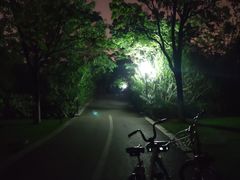-尚贤河湿地