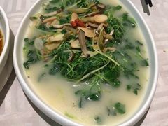 上汤豆苗-石头咕(葵蓬店)
