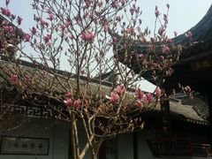 -碧丽宫大酒店(召稼楼店)