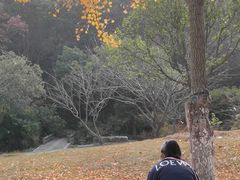 -龙寺生态园