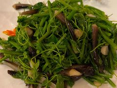 -全聚德(上海首店浦东店)