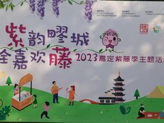 -嘉定紫藤园