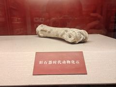 -王府井古人类文化遗址博物馆