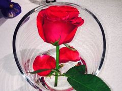 iphone_upload_pic-车之谷·汽车文化主题餐厅(汽开店)