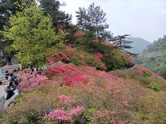 -木兰云雾山