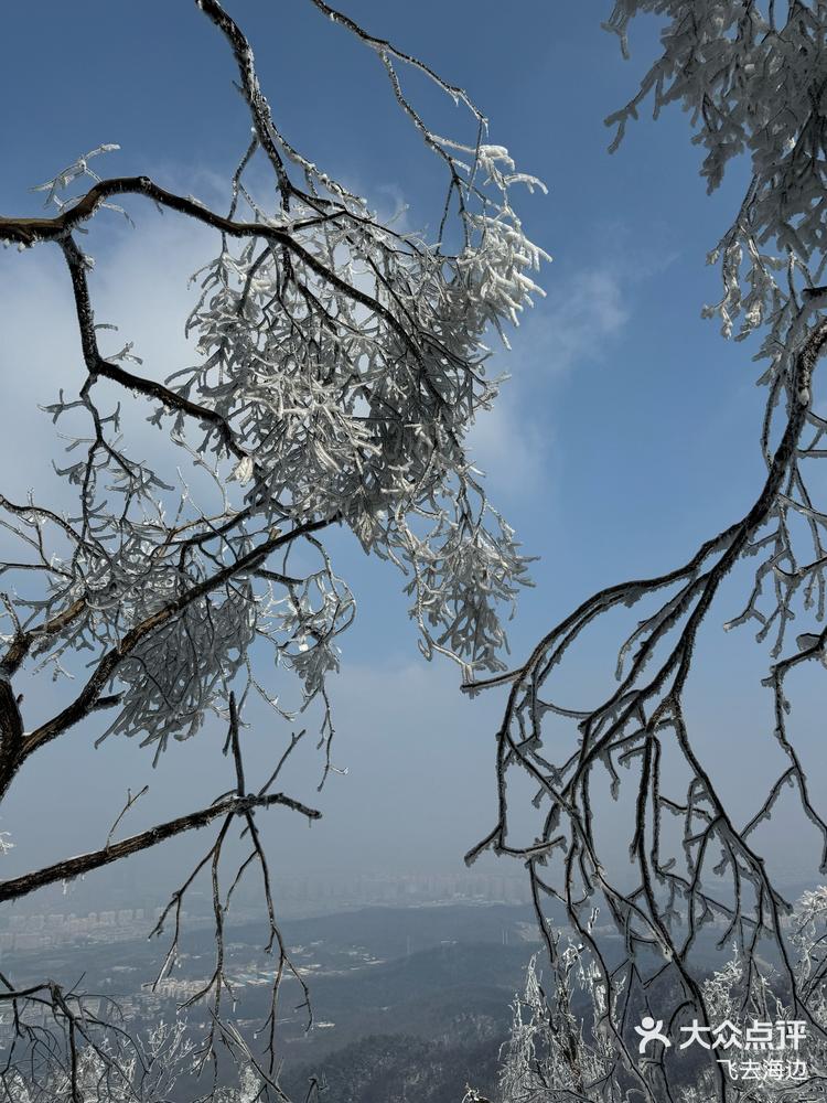 南京雪景紫金山图片