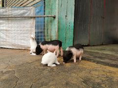 -珠海海泉湾神秘岛亲子乐园