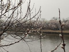-坝河休闲公园