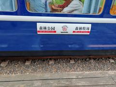 -莫尔道嘎国家森林公园