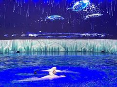 -海合安青岛极地海洋公园