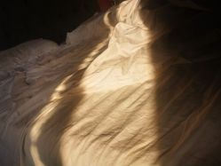 -海豚湾高端月子会所(黄浦店)