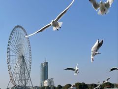 -蠡湖大桥公园