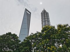 -东方明珠广播电视塔