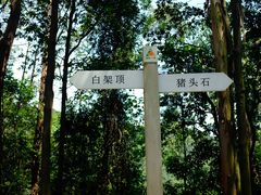 -火炉山森林公园