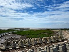 -南汇嘴观海公园