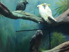 -福州罗源湾海洋世界旅游区