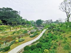 -东莞植物园