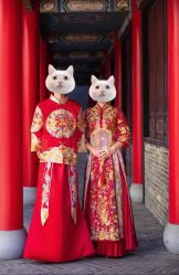 点击看大图 -金夫人婚纱摄影(华南店)