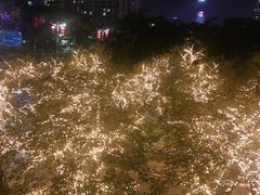 -光明小镇欢乐田园
