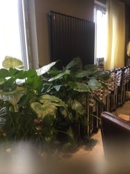 点击看大图 picture-P.STYLE 派斯造型