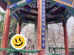 -桃花堤公园