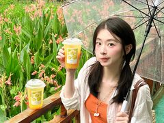 -重庆彩云湖湿地公园