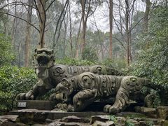 -虎跑公园